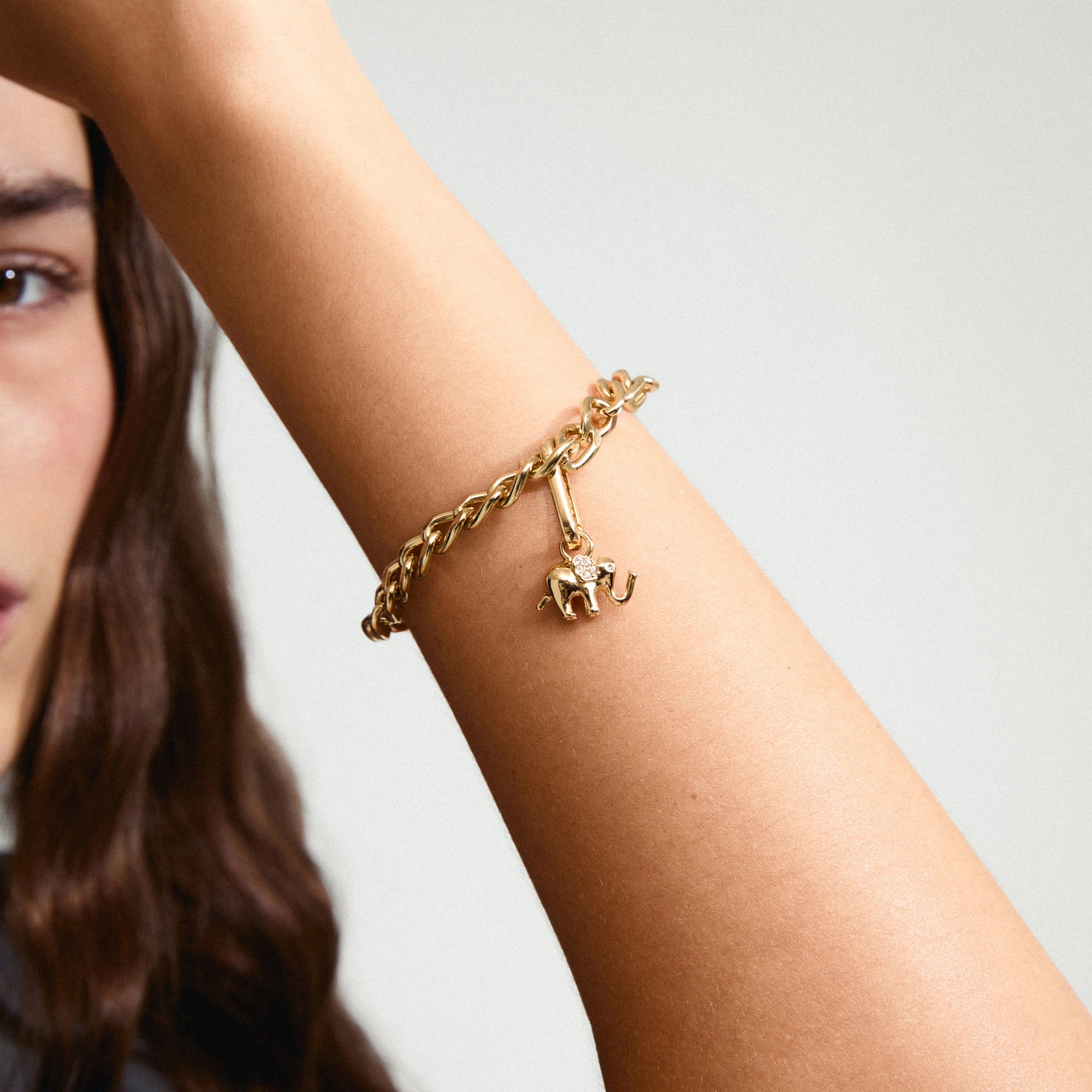 CHARM elefantanheng – gullbelagt