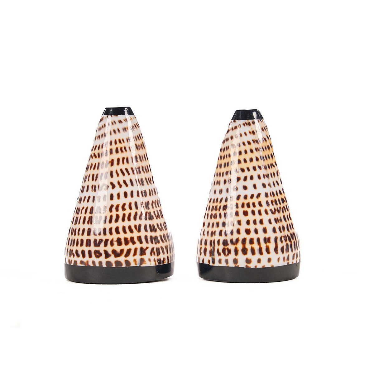 salt og pepper sett skjell bord