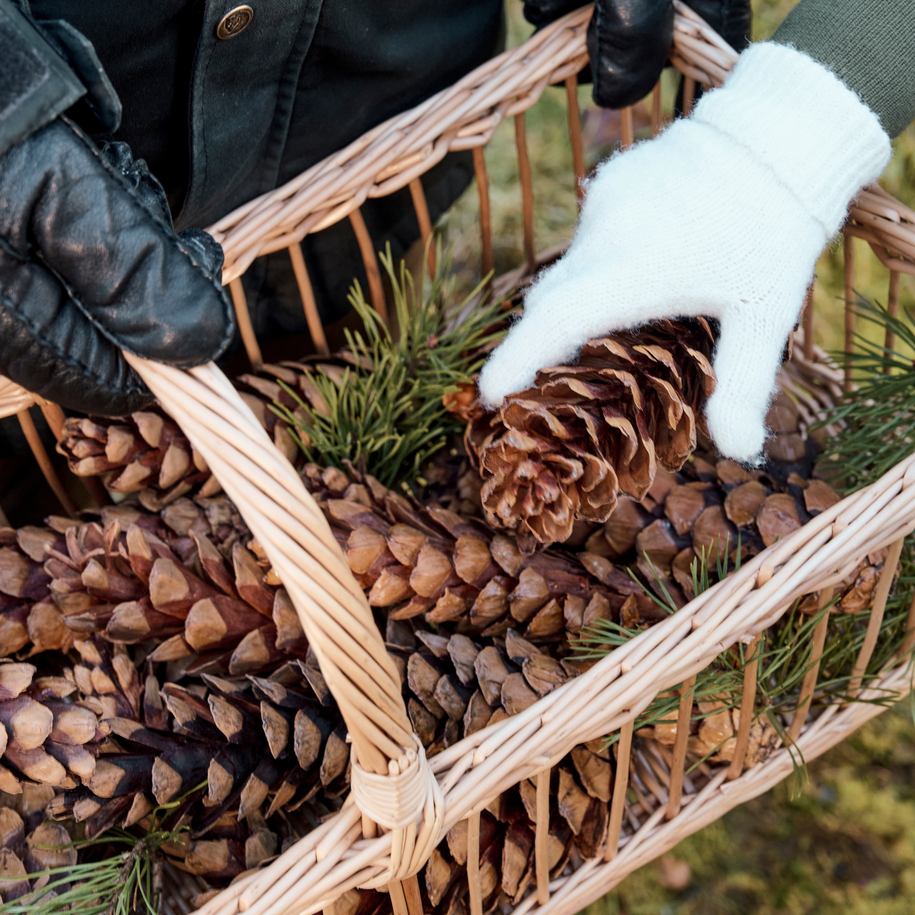 Avlang Kurv i Pil med Håndtak