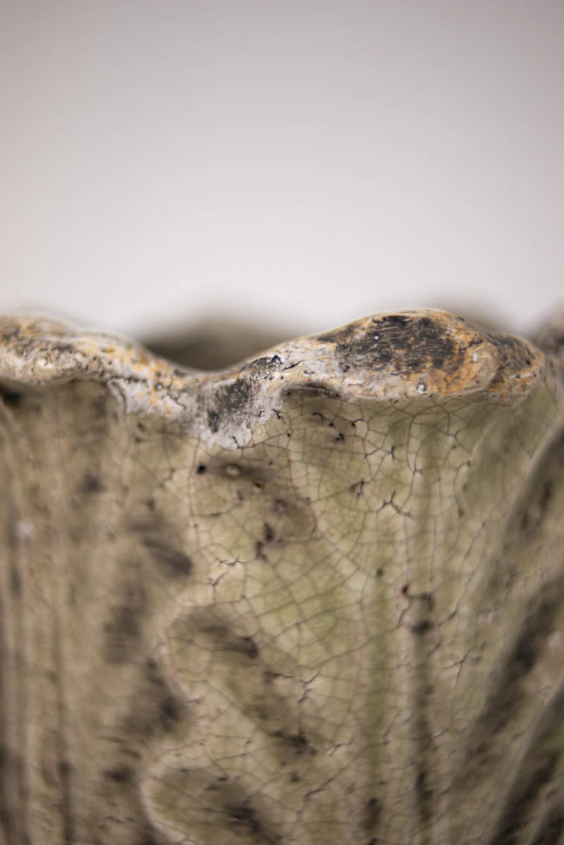 Celeste potte på fot