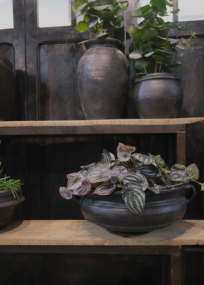 Botanic lerkrukke med håndtak – mørk terrakotta