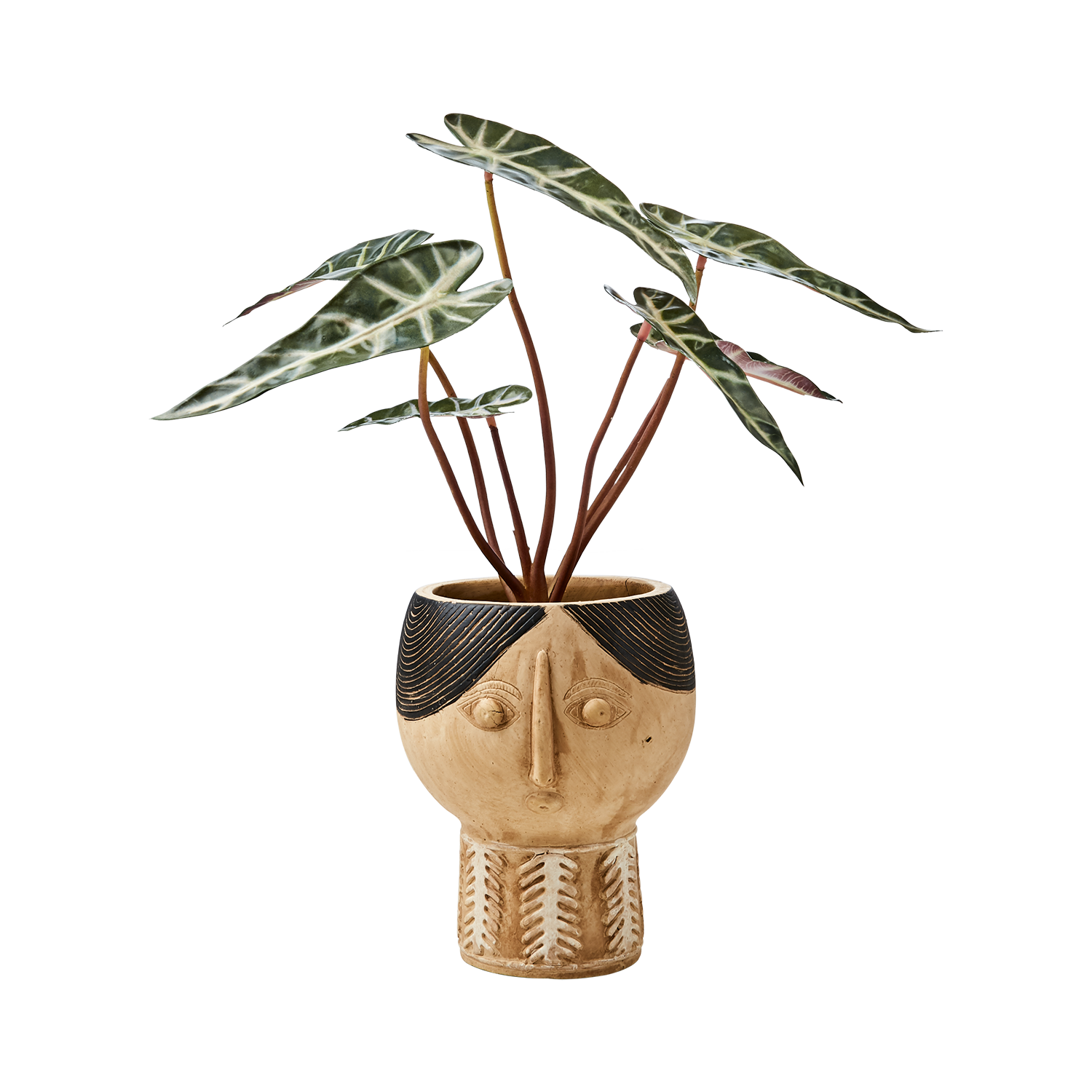 Camille Krukke, Beige