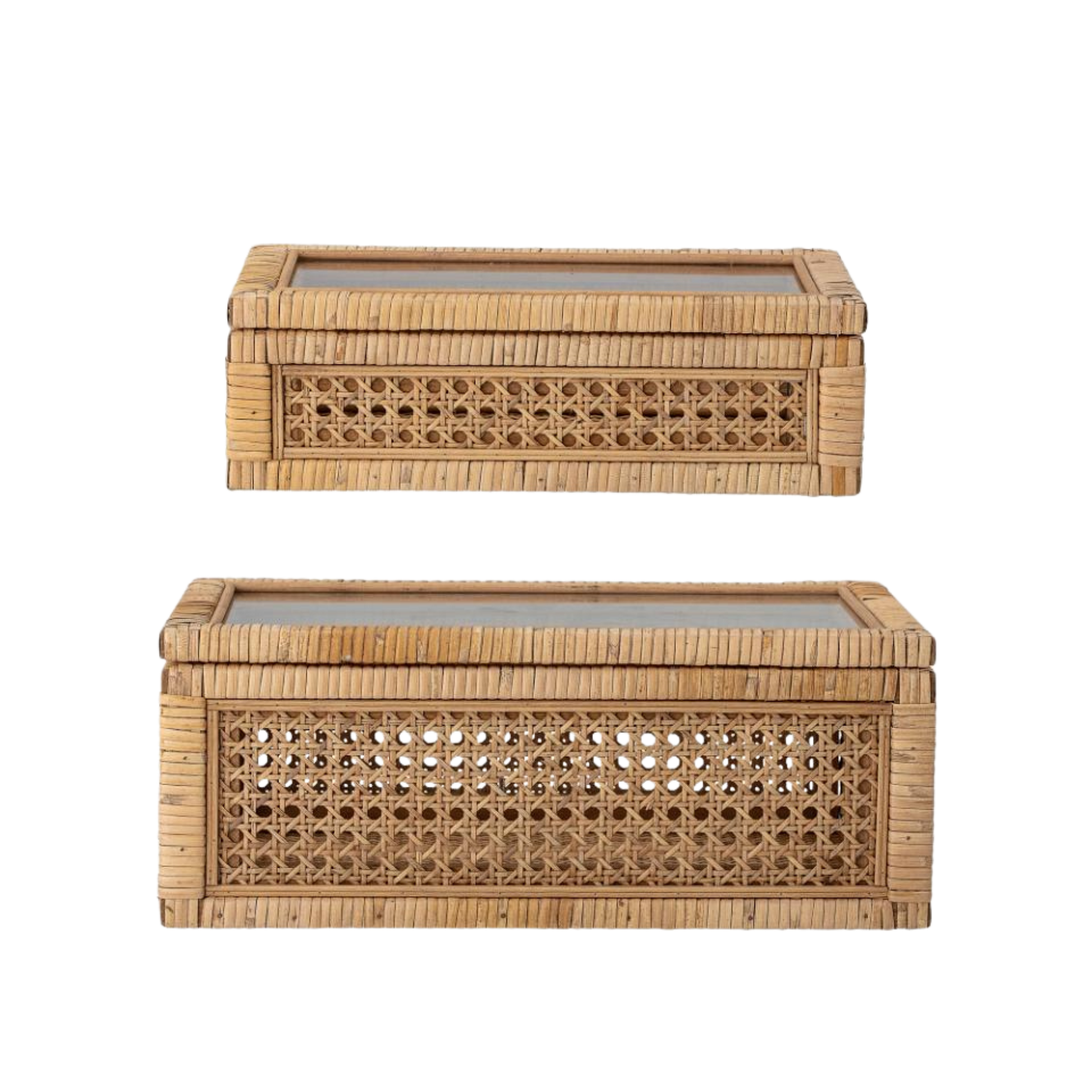 Lilly eske i rotting med glasslokk, to størrelser i naturfarge