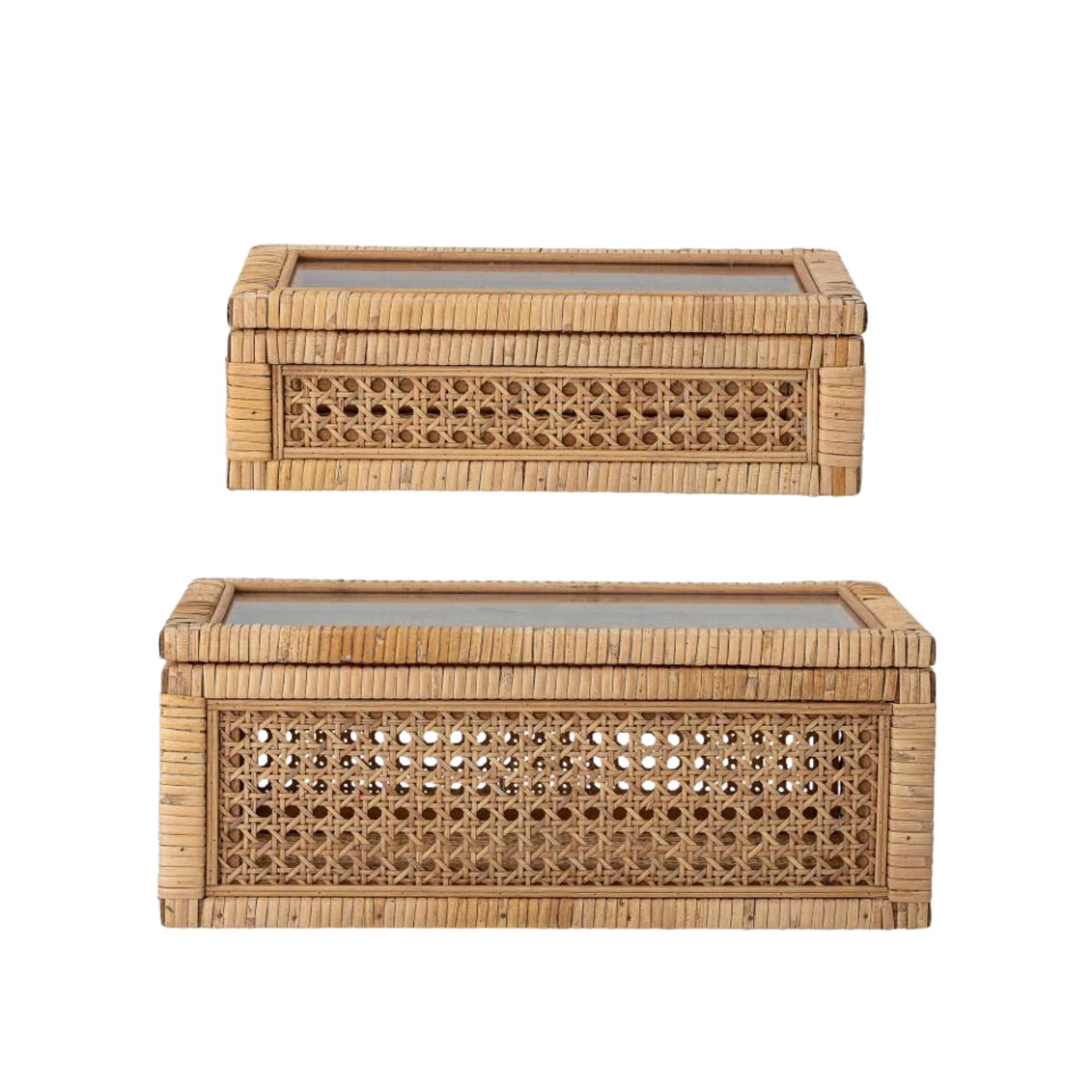 Lilly eske i rotting med glasslokk, to størrelser i naturfarge