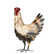 Dekorativ hønefigur i metall i beige og bruntoner, stående på sorte ben – rustikk påskedekor i nordisk stil.