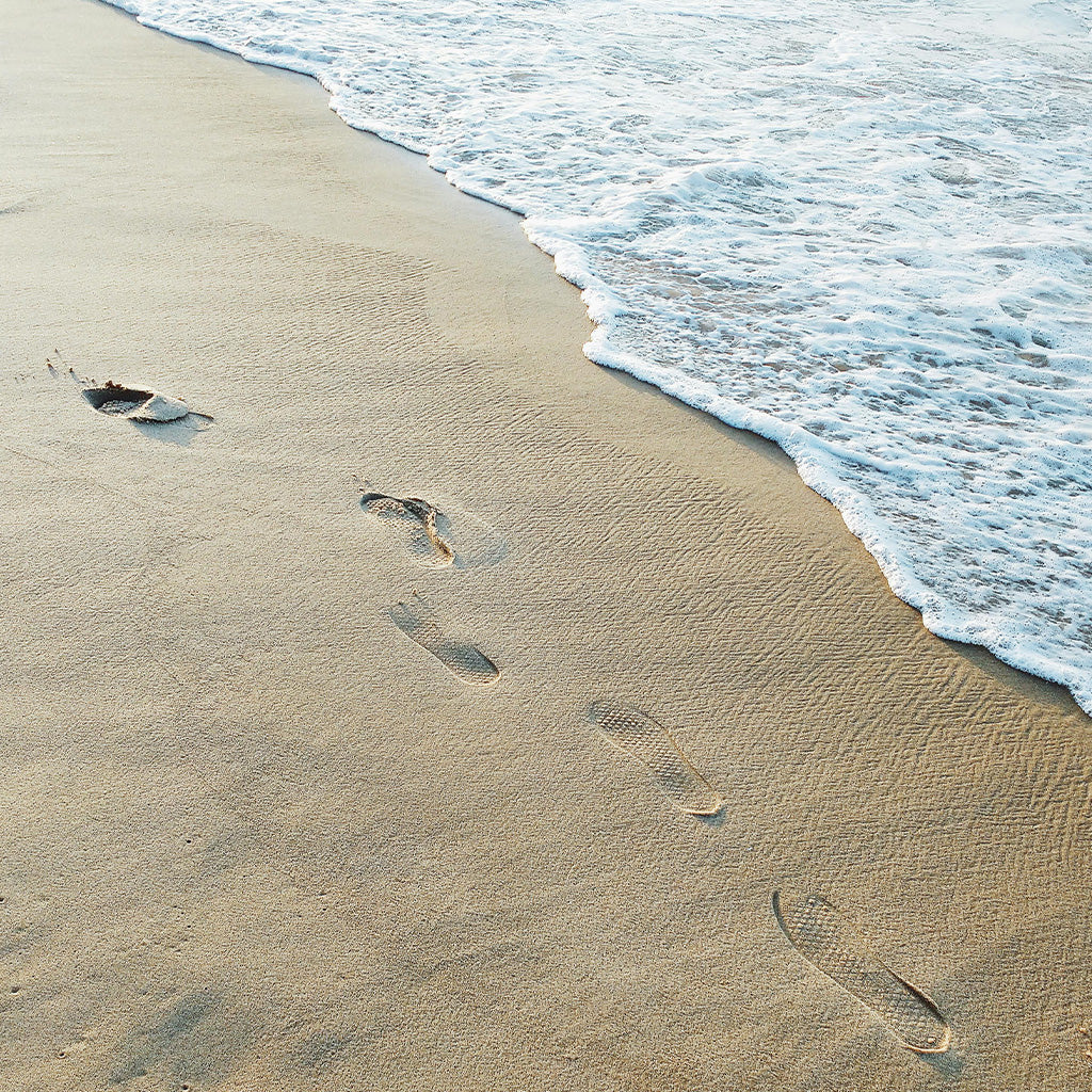 Scented Candle Shoreline